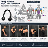 Triceps Pulldown Rope Cable Attachment