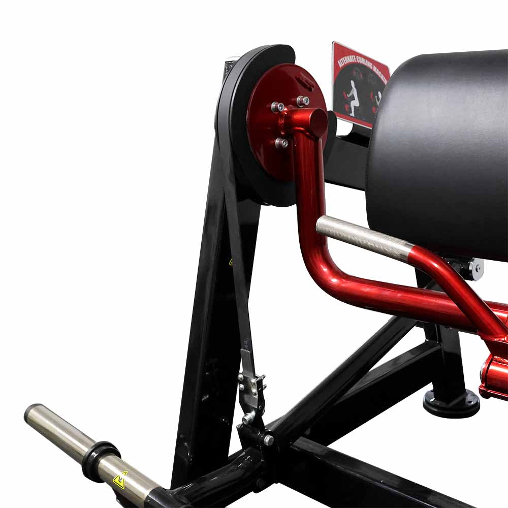 Close-up of the belt on a bicep curl machine with a red and black design
