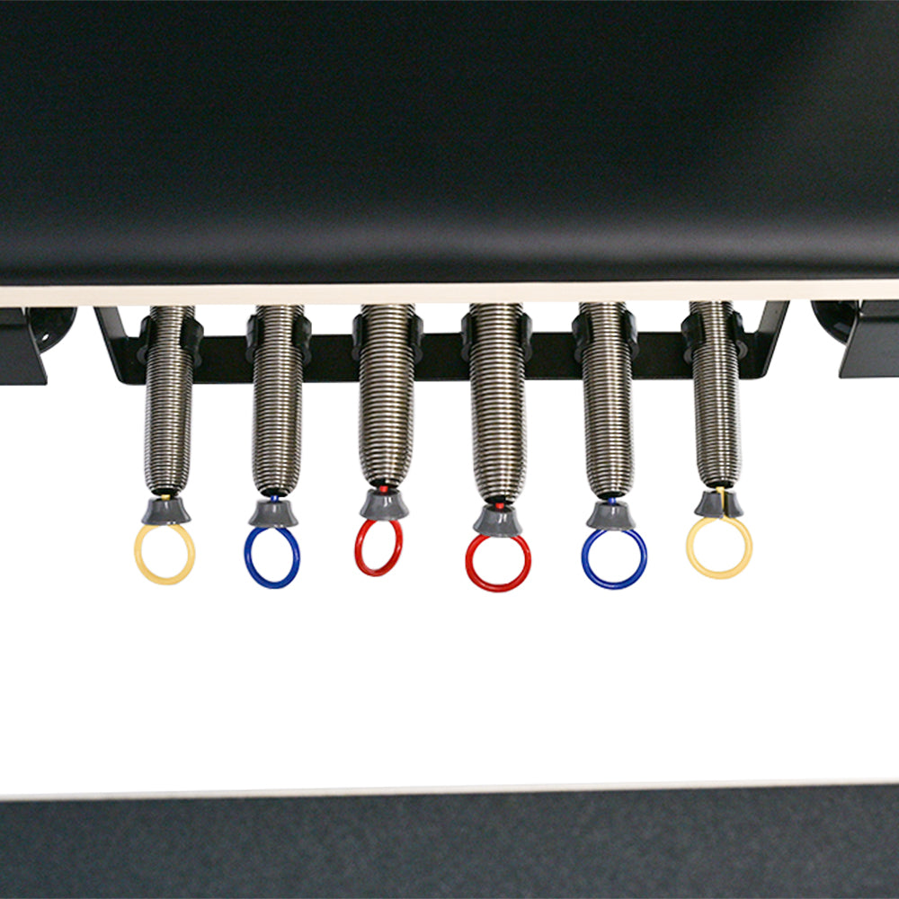 Close-up of the pilates springs on a Pilates reformer PL-600 Pro