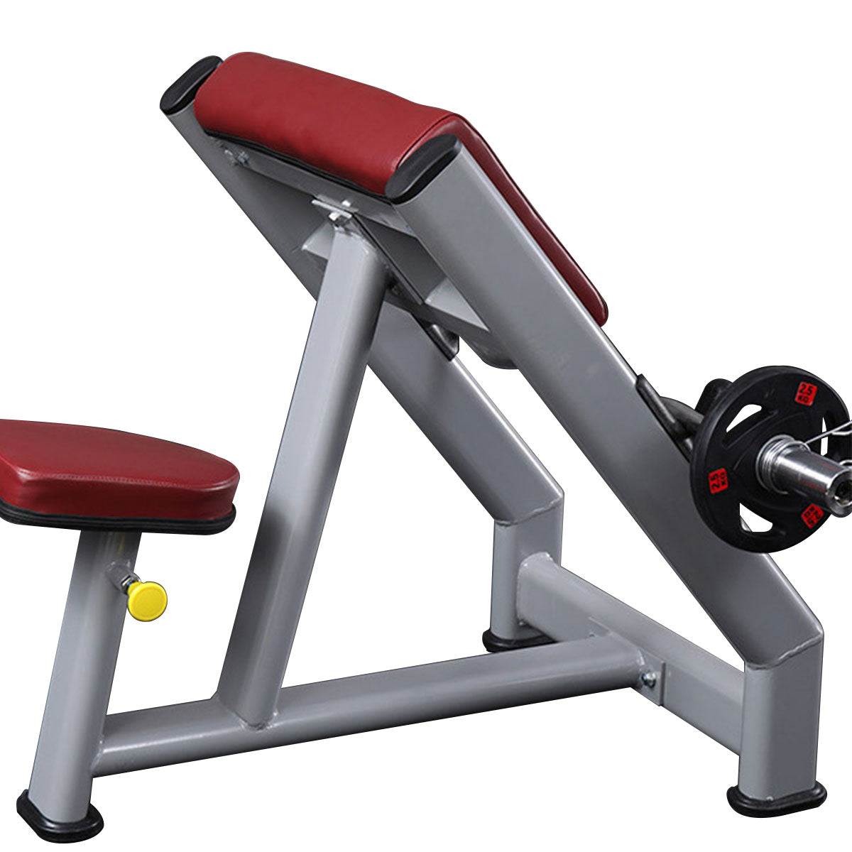 Commercial Preacher Curl Biceps Training Bench